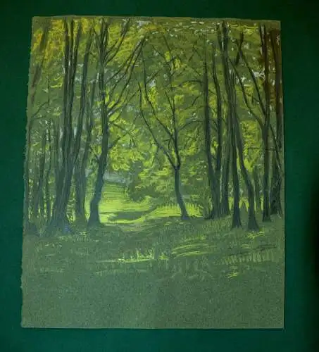 Zeichnung,Farbstift,auf grünem Papier,Waldlichtung im Sonnenschein,signiert