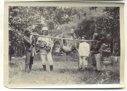 zwei Originalfotografien,Bay. Forstinspektor auf Java mit erlegtem Panther,1907