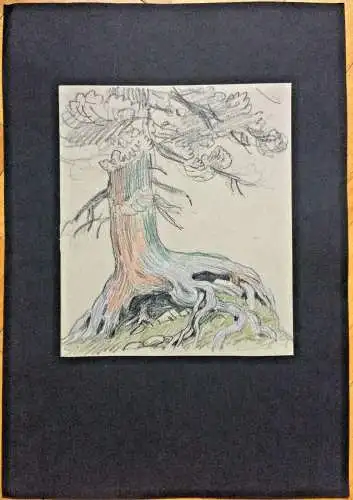 Original-Bleistiftzeichnung eines Baumes, nicht signiert, wohl Hans Stadelmann