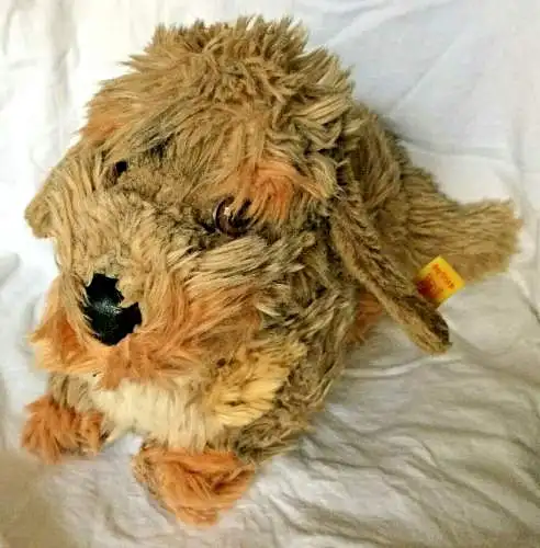 Dackel „Raudi“ von Steiff, gut erhalten