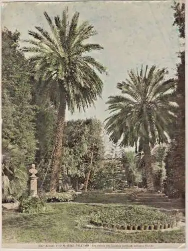 Sehr alte Original Photographie „PALERMO - Una veduta del Giardini Garibaldi“ 