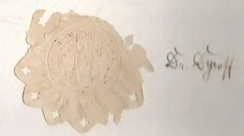 Original-Promotionsurkunde der Ludwig-Maximilians-Universität München