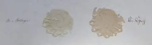 Original-Promotionsurkunde der Ludwig-Maximilians-Universität München