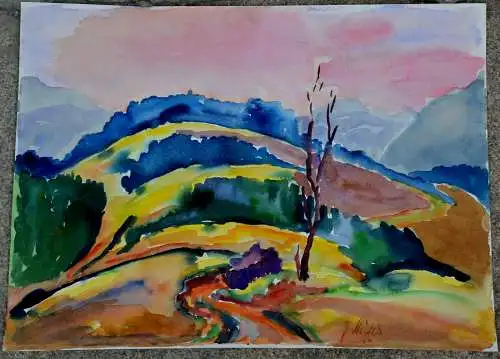 Aquarell,J. Müller, Voralpenlandschaft Impression,ca.1964. 