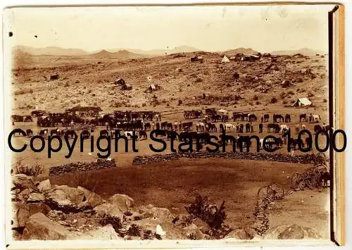 Fotografie,Deutsche Kolonie,Süd-West-Afrika,Station Narudas,1904/6,Originalfoto