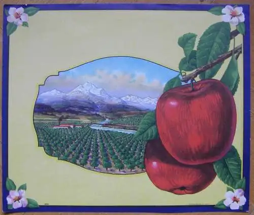 FRUIT / VEGETABLES LABEL ohne Firmen- oder Markenangabe 
