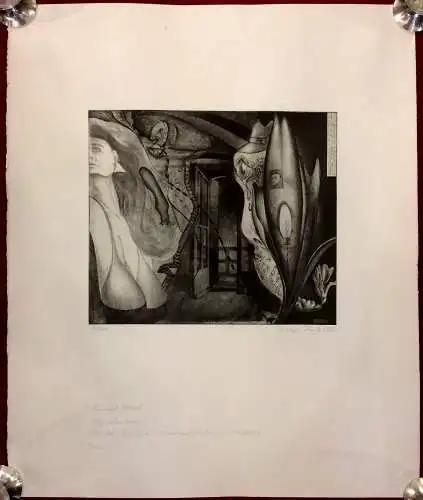 Radierung „Magnolienkraut“ von Christoph Hessel auf Velinpapier, 1989, 80/160
