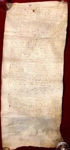 Uralte Pergament-Urkunde aus dem Jahr 1558, wohl in alt-französischer Sprache