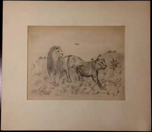 Originelle Bleistiftzeichnung einer Löwenjagd, signiert, im Passepartout, 1924