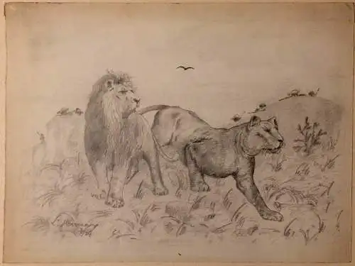 Originelle Bleistiftzeichnung einer Löwenjagd, signiert, im Passepartout, 1924
