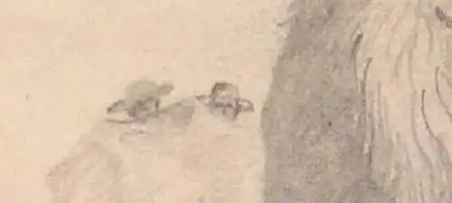 Originelle Bleistiftzeichnung einer Löwenjagd, signiert, im Passepartout, 1924