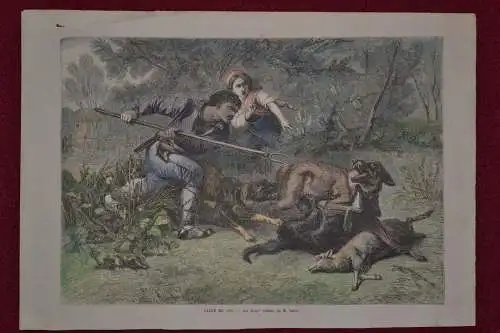 Stahlstich,koloriert,aus Le Monde Illustre,1861,Wolf im Kampf mit Hunden u.Bauer