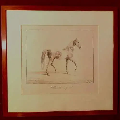 Lithografie, ALBRECHT ADAM, PFERDESTUDIEN 1819/20,Polnisches Pferd
