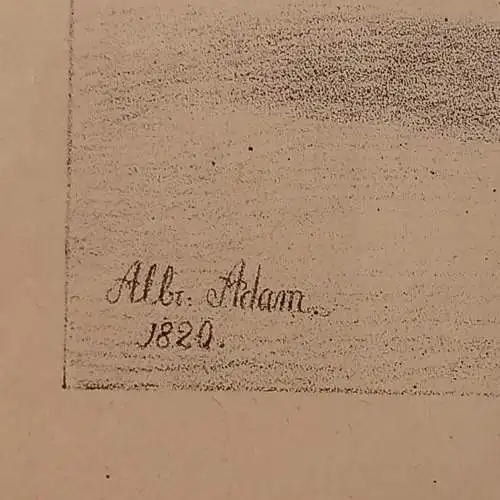 Lithografie, ALBRECHT ADAM, PFERDESTUDIEN 1820, Englisches Pferd
