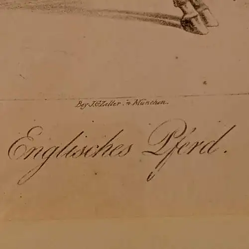 Lithografie, ALBRECHT ADAM, PFERDESTUDIEN 1820, Englisches Pferd