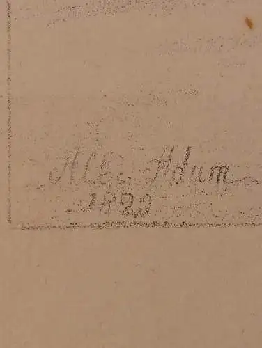 Lithografie,ALBRECHT ADAM, PFERDESTUDIEN 1820, vierjährige Hengste