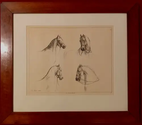 Lithografie,Mappenwerk,1820,Albrecht Adam,Pferde