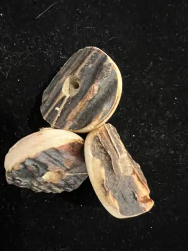 Hirschhorn, Trachtenknöpfe, 3 Stück, 3,0 cm Durchmesser, alpenländisch