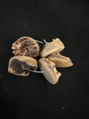 Hirschhorn, Trachtenknöpfe, 5 Stück, alpenländisch, Durchmesser ca 2,5 cm