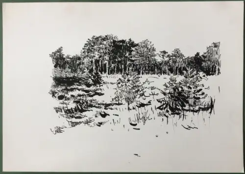 Waldlichtung - Original-Tusche-Zeichnung von Karl Sally Bauer-Oltsch