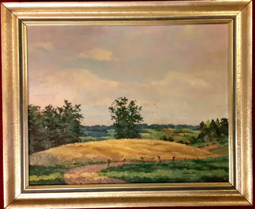 Ölgemälde Hügelige Landschaft unter bewölktem Himmel, signiert, gerahmt