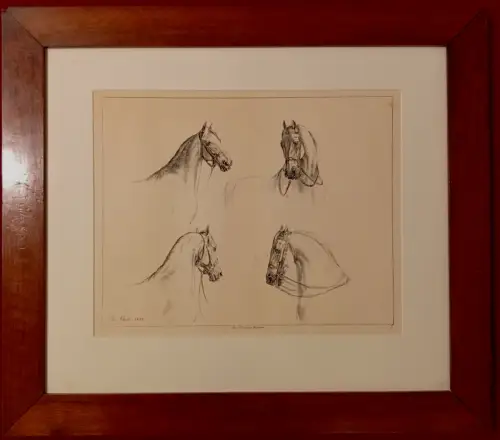Lithografie,Mappenwerk,1820,Albrecht Adam,Pferde