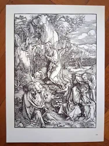 14 Drucke/Reproduktionen von Werken von Albrecht Dürer 34 x47 cm