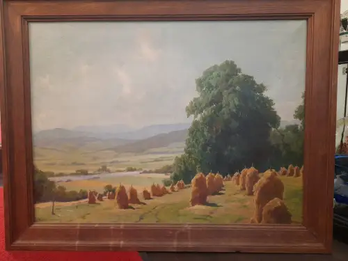 Ölbild,Blick über Heumandl auf eine Flusslandschaft,gerahmt,unleserlich sign.