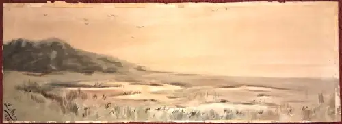 Aquarell Küsten- oder Dünenlandschaft von L. Auer, 1893