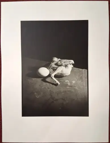 Photographie "Œuf... quelle surprise!" von Wols, 1938/1939