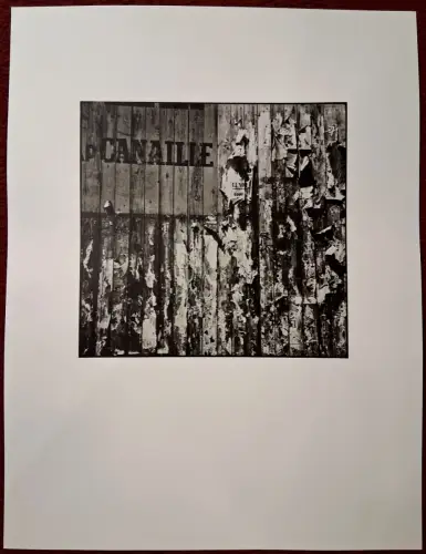 Photographie „Canaille on the Palisade“ von Wols, 1938/1939