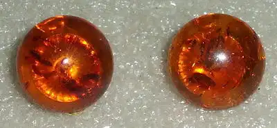 Ohrringe aus 333er Gold mit Bernstein/Amber    (da0806)