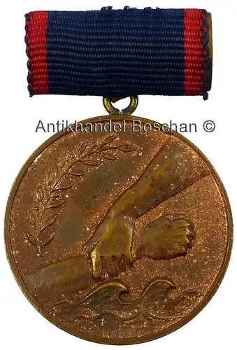 Medaille Für selbstlosen Einsatz bei der Bekämpfung von Katastrophen (AH163b)