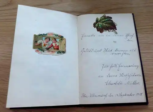 Berlin Wilmersdorf  1912 Poesie Album mit  Lackbildern
