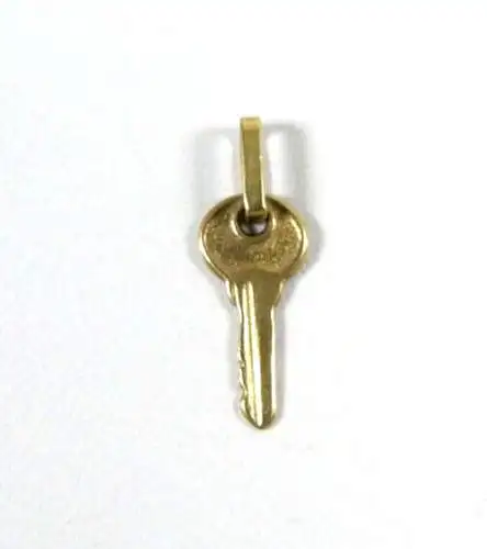 Anhänger aus 333 Gold Schlüssel