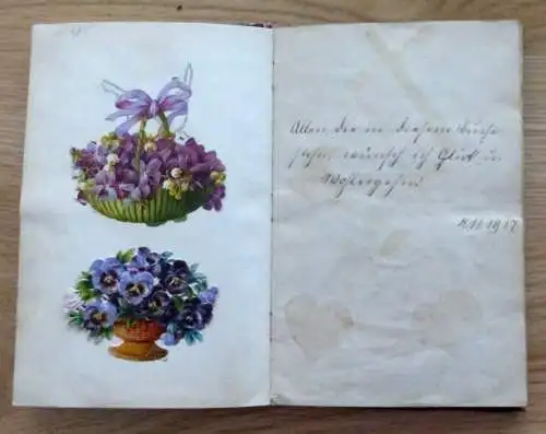 Poesie und Lackbilder Album Strasburg 1918