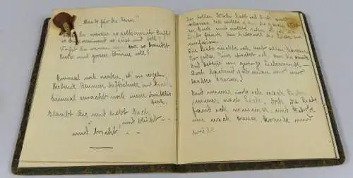 Poesiealbum von 1925 mit 50 beidseitig beschriebenen Seiten