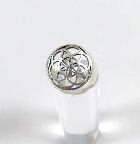 Ring aus 925 Silber, Gr. 53