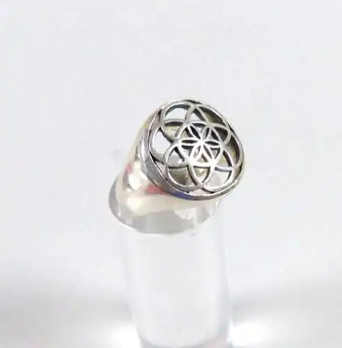 Ring aus 925 Silber, Gr. 53