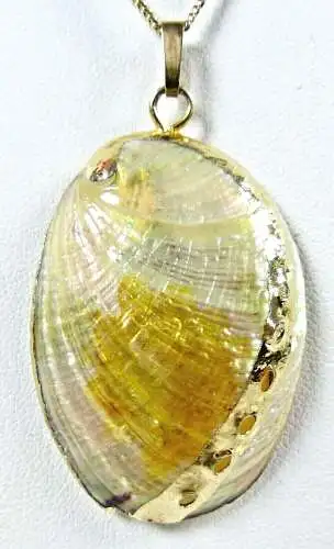 Kette aus 333 Gold mit Anhänger Muschel mit Goldrand    (da6727)