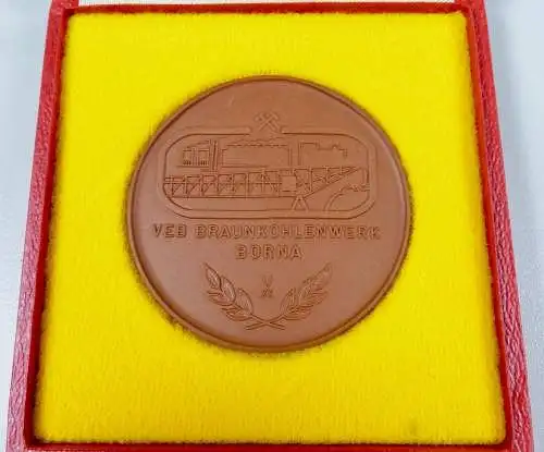 Medaille VEB Braunkohlenwerk Borna "Glück auf"  (da6144)