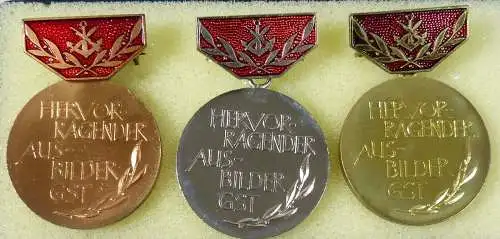 Hervorragender Ausbilder GST in Bronze, Silber und Gold  (da5486)