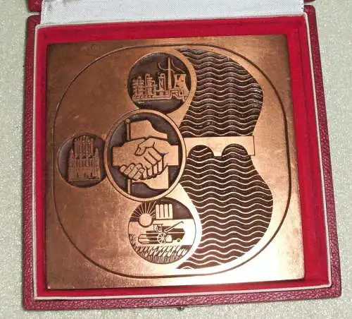 Medaille Aus Anlass der Eintragung in das Ehrenbuch der SED  in OVP (da3890)