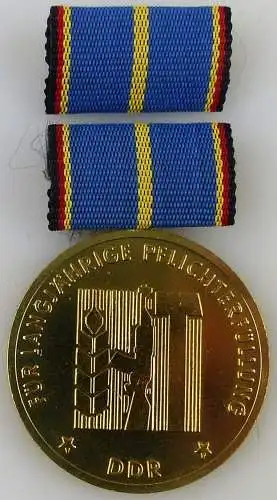 langjährige Pflichterfüllung zur Stärkung der Landesverteidung Gold (AH254d1v)