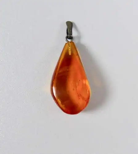 Wunderschöner Anhänger Fischland mit Bernstein/Amber  (da6003)