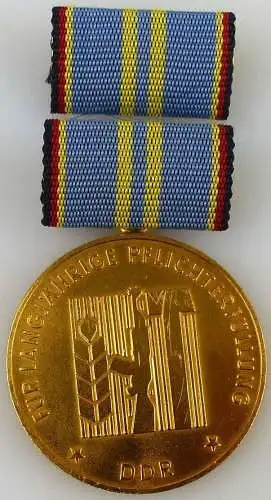 langjährige Pflichterfüllung zur Stärkung der Landesverteidung Gold (AH253b)