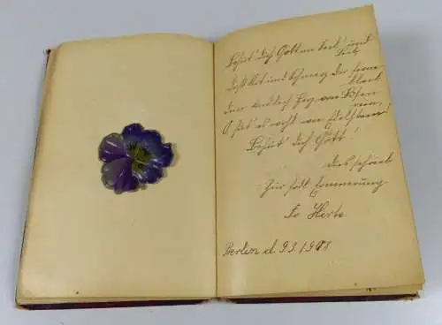 Jugendstil Poesie Album ab 1907 mit Lackbilder