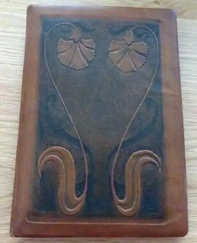 Poesie Album von 1904 mit Lackbildern teilweise lose