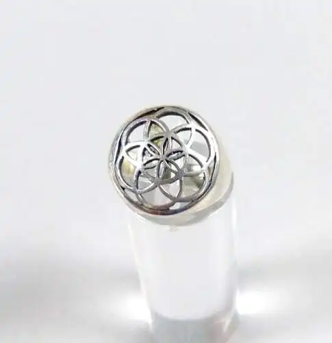 Ring aus 925 Silber, Gr. 53