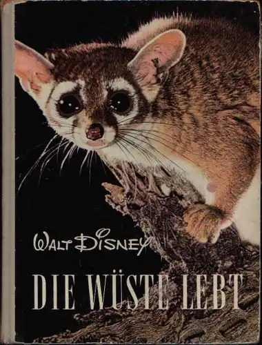 Disney, Walt